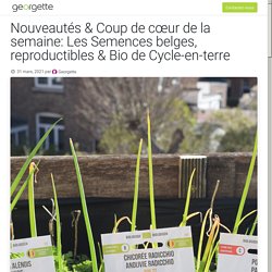 Nouveautés & Coup de cœur de la semaine: Les Semences belges, reproductibles & Bio de Cycle-en-terre