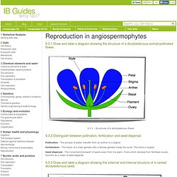 IB Biology Notes - Reproduction Angio HL