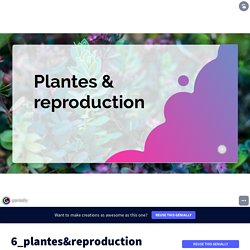 6_plantes&amp;reproduction by chloe.romboletti on Genially