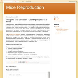 Mice Reproduction: Transgenic Mice Generation – Extending the Lifespan of Mouse