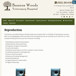 Bannon Woods Veterinary Hospital