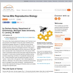Varroa Mite Reproductive Biology - eXtension