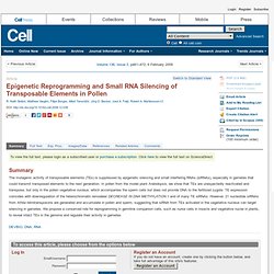 Epigenetic Reprogramming and Small RNA Silencing of Transposable Elements in Pollen