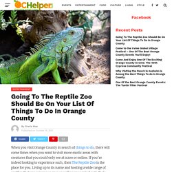 Going To The Reptile Zoo Should Be On Your List Of Things To Do In Orange County