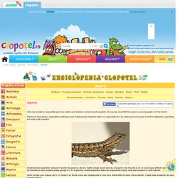 Reptile soparla