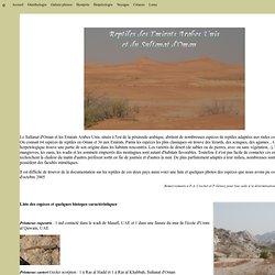 Reptiles-oman-emirats-arabes-unis. UAE and Oman Herpetology