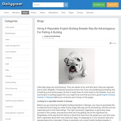 Hiring A Reputable English Bulldog Breeder May Be Advantageous For Petting A Bulldog