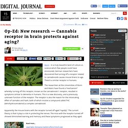 New research — Cannabis receptor in brain protects against aging?