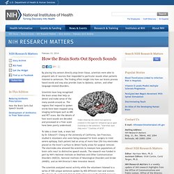 How the Brain Sorts Out Speech Sounds - NIH Research Matters