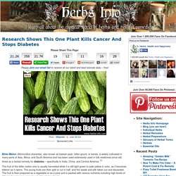 Research Shows This One Plant Kills Cancer And Stops Diabetes