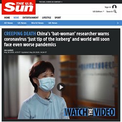 China's 'bat-woman' researcher warns coronavirus 'just tip of the iceberg' and world will soon face even worse pandemics