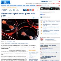 Researchers agree on lab grown meat plans