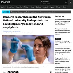 Canberra researchers at the Australian National University find a protein that could stop allergic reactions and anaphylaxis