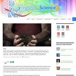 Researchers Find That Gardening Soil Is A Natural Antidepressant