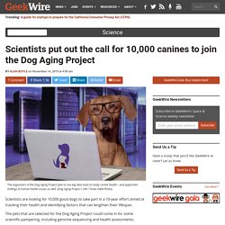 Researchers want 10,000 canines to join the Dog Aging Project