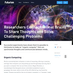 Researchers Connect Animal Brains To Share Thoughts and Solve Challenging Problems - Futurism