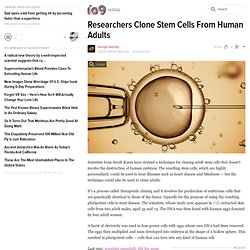 Researchers Clone Stem Cells From Human Adults