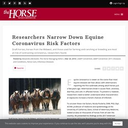 THEHORSE 20/03/18 Researchers Narrow Down Equine Coronavirus Risk Factors