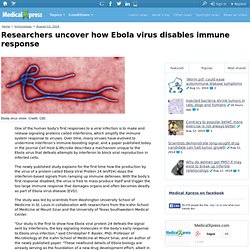 Researchers uncover how Ebola virus disables immune response