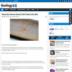 Researchers Discover Bacteria That Produces Pure Gold