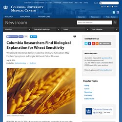 Researchers Find Biological Explanation for Wheat Sensitivity