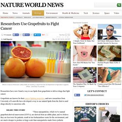 Researchers Use Grapefruits to Fight Cancer : Biology
