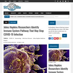 10/17/20: Johns Hopkins Researchers Identify Immune System Pathway That May Stop COVID-19