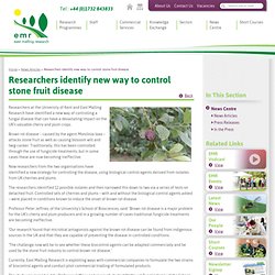 EAST MALLING RESEARCH 13/02/14 Researchers identify new way to control stone fruit disease