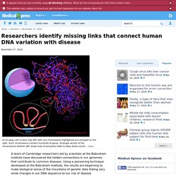 Researchers identify missing links that connect human DNA variation with disease