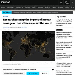 Researchers map the impact of human sewage on coastlines around the world