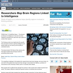 Researchers Map Brain Regions Linked to Intelligence