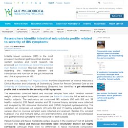 Researchers identify intestinal microbiota profile related to severity of IBS symptoms - Gut Microbiota for Health