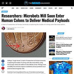Researchers: Microbots Will Soon Enter Human Colons to Deliver Medical Payloads