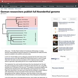 German researchers publish full Neanderthal genome