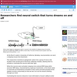 Researchers find neural switch that turns dreams on and off