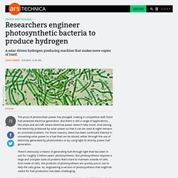 Researchers engineer photosynthetic bacteria to produce hydrogen