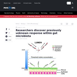Researchers discover previously unknown response within gut microbiota