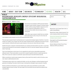 Researchers develops Energy Efficient biological supercomputer – MicroCap Magazine