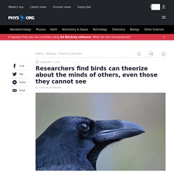 Researchers find birds can theorize about the minds of others, even those they cannot see