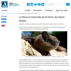La Réserve Naturelle de St Denis-du-Payré étoilée