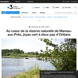 Au coeur de la réserve naturelle de Mareau-aux-Prés, joyau vert à deux pas d'Orléans - France 3 Centre-Val de Loire