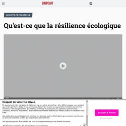 Qu'est-ce que la résilience écologique - neonmag.fr