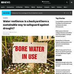 Water resilience: Is a backyard bore a sustainable way to safeguard against drought? - ABC News