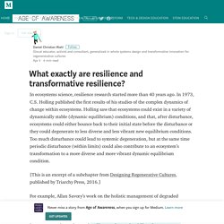 What exactly are resilience and transformative resilience?