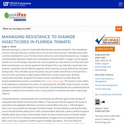 UNIVERSITY OF FLORIDA 25/07/21 MANAGING RESISTANCE TO DIAMIDE INSECTICIDES IN FLORIDA TOMATO