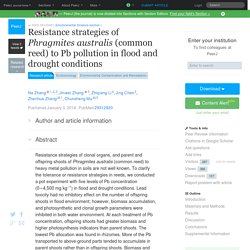 PEERJ 01/03/18 Resistance strategies of Phragmites australis (common reed) to Pb pollution in flood and drought conditions
