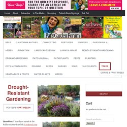 Drought-Resistant Gardening California locals Gardens Vermin Bees Yard And Also Garden The Golden State Natives Composting Organic Fertilizer Flowers