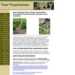 Lists of Deer Resistant Plants For A Deer Proof Landscape