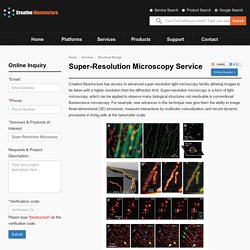 Super-Resolution Microscopy Service