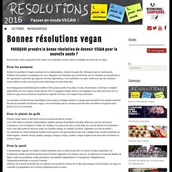 Bonnes résolutions vegan - International Campaigns